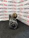 Стартер OPEL Vivaro RENAULT Trafic Laguna Megane Scenic SUZUKI Grand Vitara 1.9 dCi d7r48 d7r48 фото 4