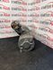 Стартер NISSAN Cabstar Murano Navara Pathfinder 2.5 dCi  m002ts0671 m002ts0671 фото 3