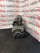 Стартер CHRYSLER Cruiser 2.2 CRD JEEP Grand Cherokee II 2.7 CRD 05033125aa 05033125aa фото 4