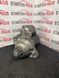 Стартер VOLKSWAGEN Golf 5 6 SKODA Octavia Fabia SEAT Toledo Leon Ibiza Altea 1.6 2.0  02T911024Q 02T911024Q фото 1