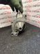 Стартер CITROEN C-CROSSER C4 C5 C6 C8 PEUGEOT 3008 307 407 508 607 807 2.0 2.2  HDi d8r28 d8r28 фото 1