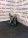 Стартер TOYOTA Auris Auris Touring Sports Corolla Vitz Yaris 1.3  281000y091 281000y091 фото 4
